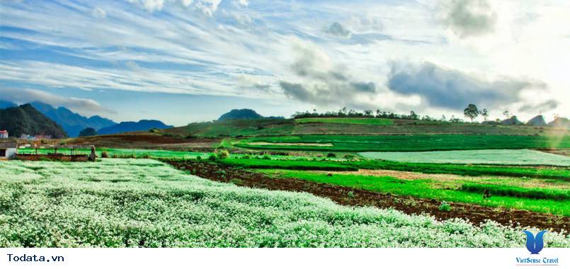 Mộc Châu - Điện Biên: Hành Trình Khám Phá Lịch Sử 4 Ngày 3 Đêm - Ảnh 2 Mộc Châu - Điện Biên: Hành Trình Khám Phá Lịch Sử 4 Ngày 3 Đêm - Ảnh 2